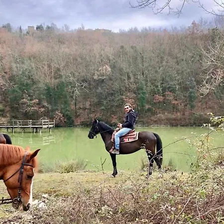 Sant'angelo Farm Pensión 3*