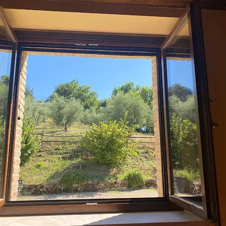 Sant'angelo Farm Pensión Gualdo Cattaneo